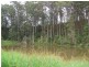 286 Tyalgum Ridge Road, Tyalgum NSW 2484