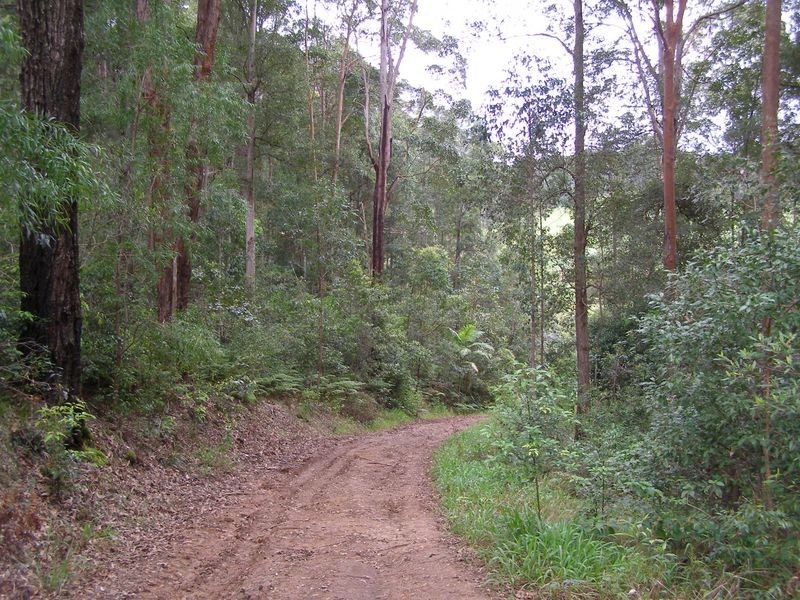 286 Tyalgum Ridge Road, Tyalgum NSW 2484