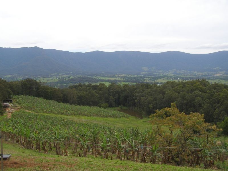 286 Tyalgum Ridge Road, Tyalgum NSW 2484