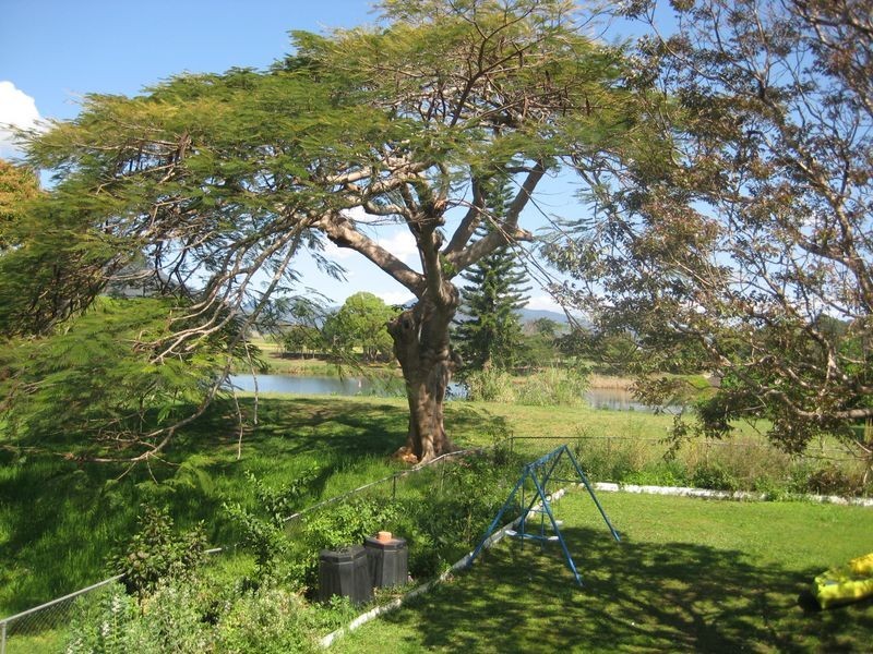 113 River Street, Murwillumbah NSW 2484