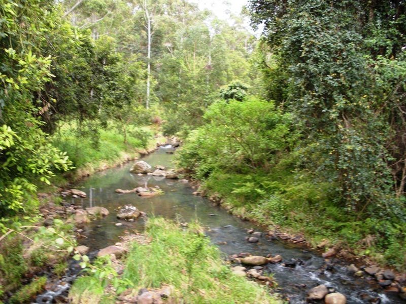 687 Commissioners Creek Road, Commissioners Creek NSW 2484