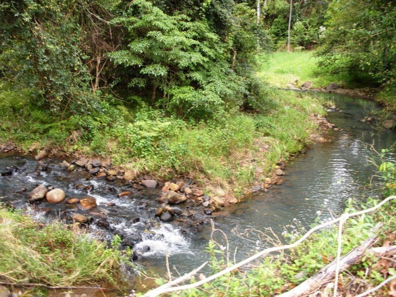 687 Commissioners Creek Road, Commissioners Creek NSW 2484