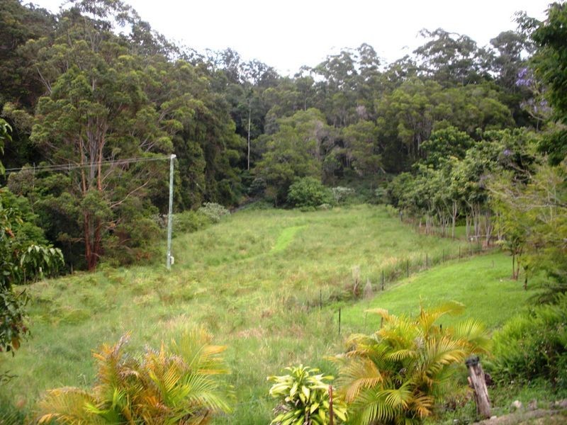 687 Commissioners Creek Road, Commissioners Creek NSW 2484