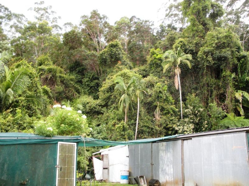 687 Commissioners Creek Road, Commissioners Creek NSW 2484