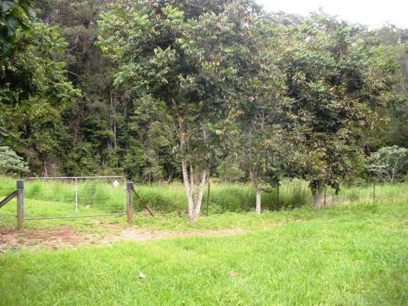 687 Commissioners Creek Road, Commissioners Creek NSW 2484