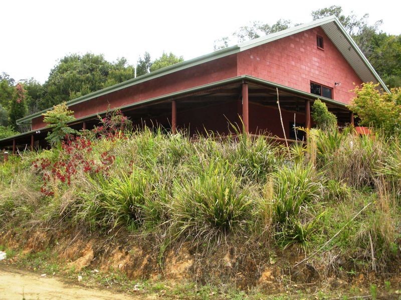 687 Commissioners Creek Road, Commissioners Creek NSW 2484