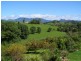 11 Mt Ernest Crescent, Murwillumbah NSW 2484
