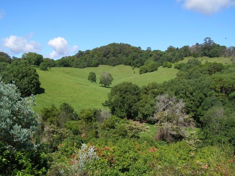 11 Mt Ernest Crescent, Murwillumbah NSW 2484