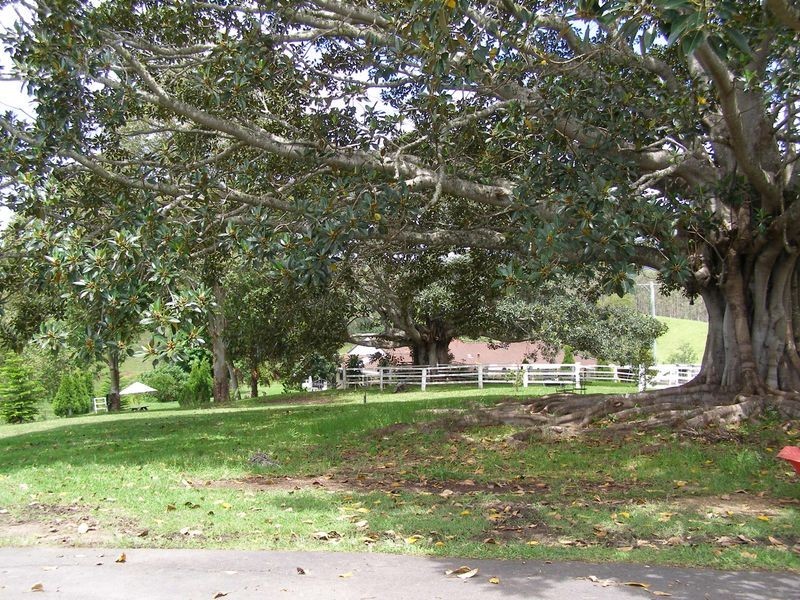 571 Doon Doon Road, Doon Doon NSW 2484