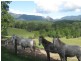 571 Doon Doon Road, Doon Doon NSW 2484