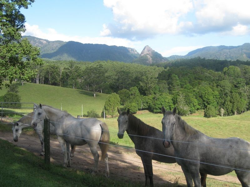 571 Doon Doon Road, Doon Doon NSW 2484