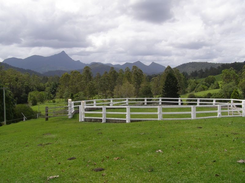 571 Doon Doon Road, Doon Doon NSW 2484