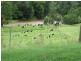 571 Doon Doon Road, Doon Doon NSW 2484