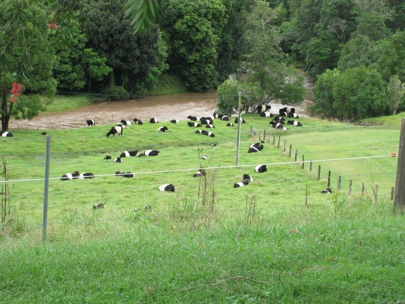 571 Doon Doon Road, Doon Doon NSW 2484