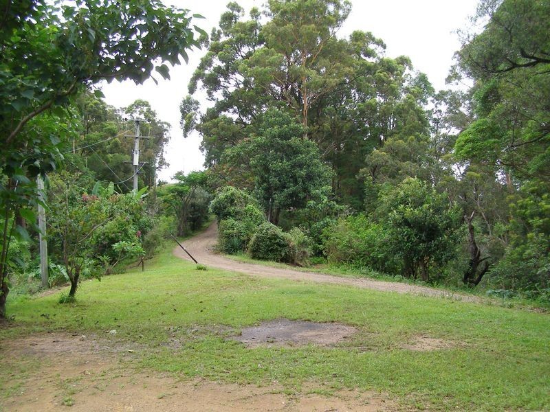 1123 Urliup Road, Urliup NSW 2484