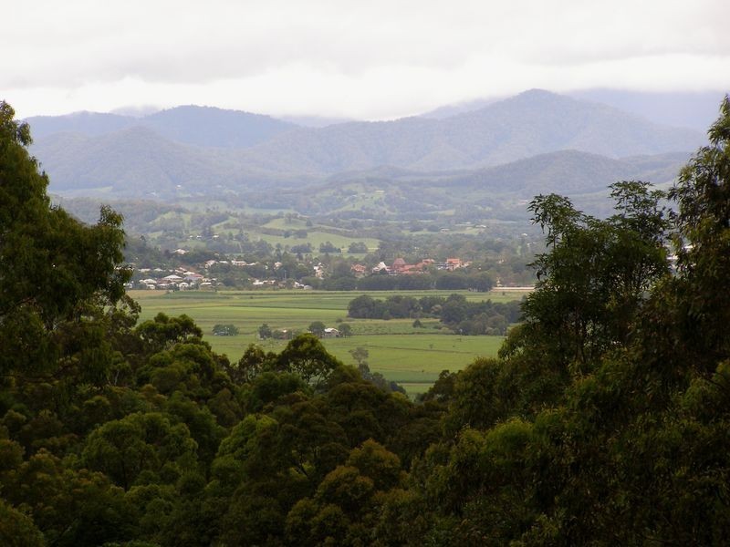 1123 Urliup Road, Urliup NSW 2484