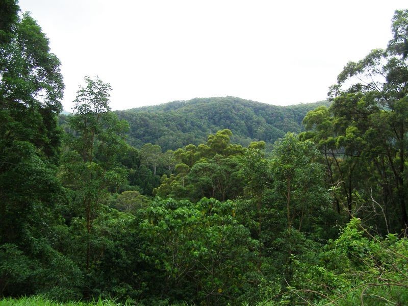 1123 Urliup Road, Urliup NSW 2484