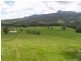 Brays Creek Road, Tyalgum NSW 2484