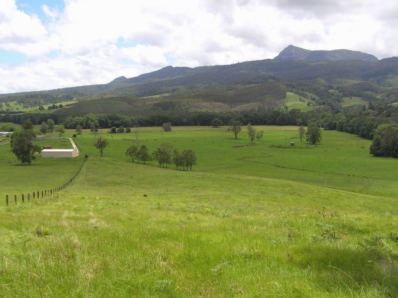 Brays Creek Road, Tyalgum NSW 2484