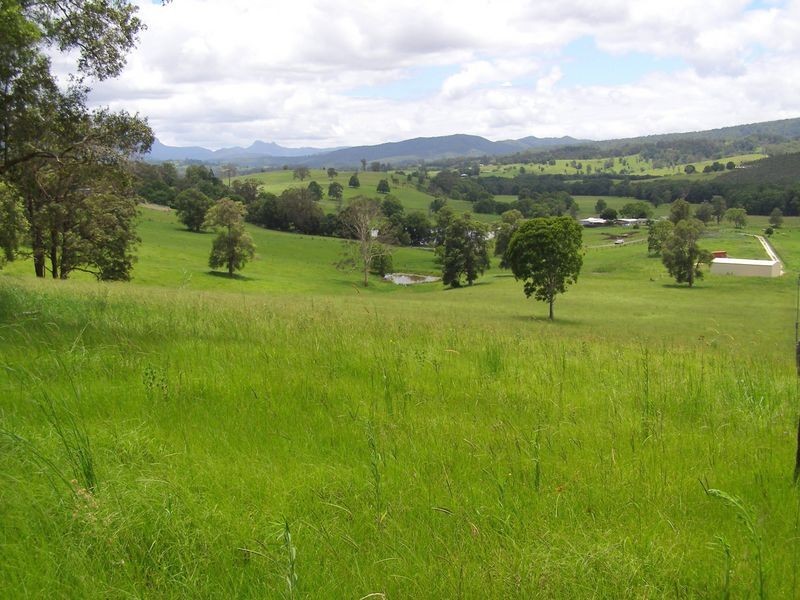 Brays Creek Road, Tyalgum NSW 2484