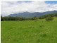 Brays Creek Road, Tyalgum NSW 2484