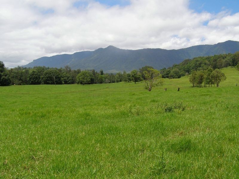 Brays Creek Road, Tyalgum NSW 2484