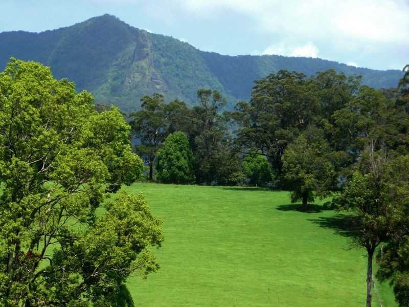 Brays Creek Road, Tyalgum NSW 2484