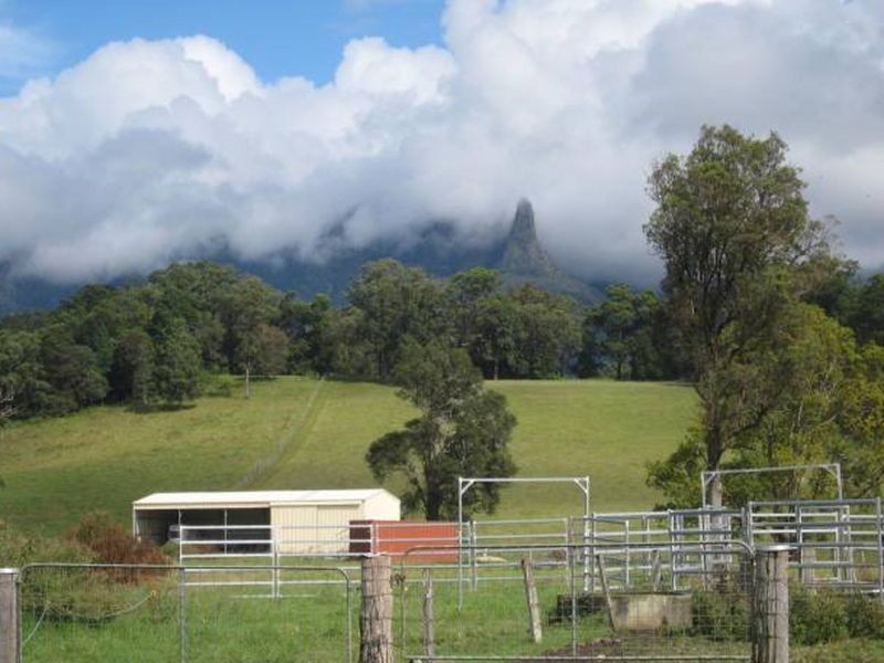 Brays Creek Road, Tyalgum NSW 2484