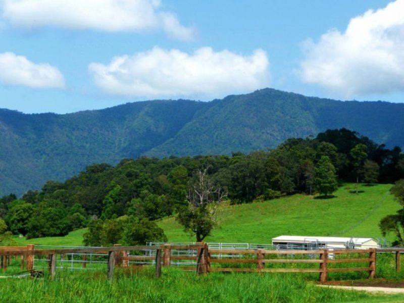 Brays Creek Road, Tyalgum NSW 2484