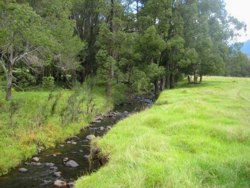 Brays Creek Road, Tyalgum NSW 2484