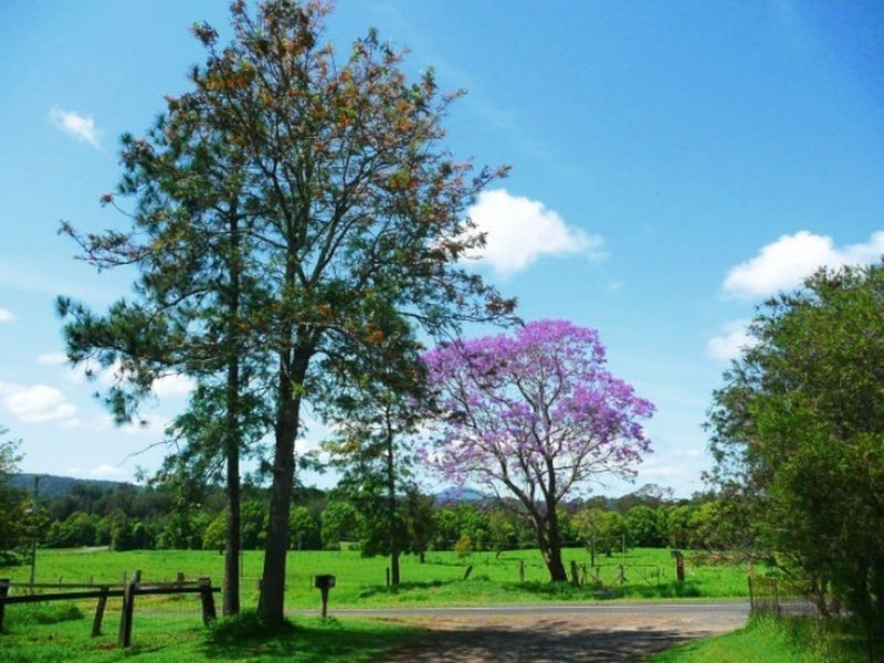 Brays Creek Road, Tyalgum NSW 2484