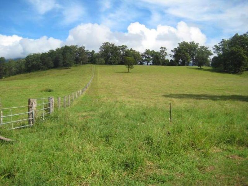 Brays Creek Road, Tyalgum NSW 2484