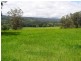 Brays Creek Road, Tyalgum NSW 2484