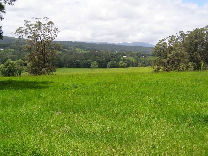 Brays Creek Road, Tyalgum NSW 2484