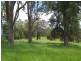 Brays Creek Road, Tyalgum NSW 2484