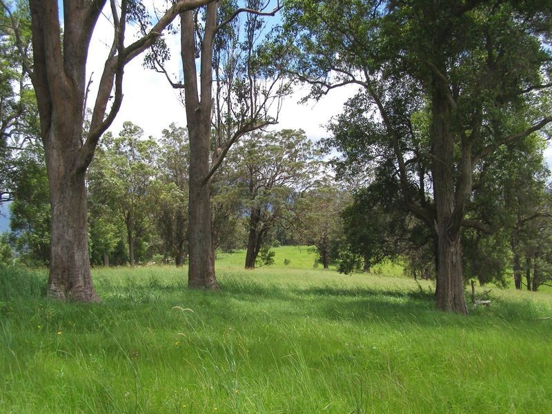 Brays Creek Road, Tyalgum NSW 2484