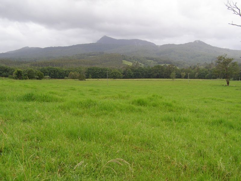 Brays Creek Road, Tyalgum NSW 2484
