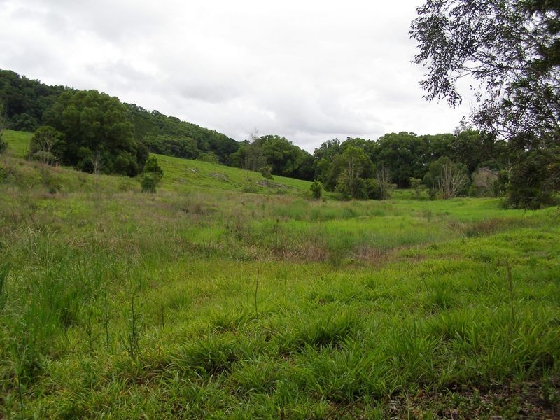 106 Kyogle Road, Byangum NSW 2484