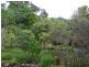 106 Kyogle Road, Byangum NSW 2484