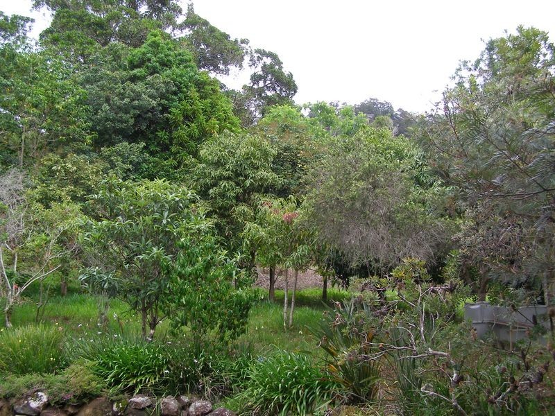 106 Kyogle Road, Byangum NSW 2484
