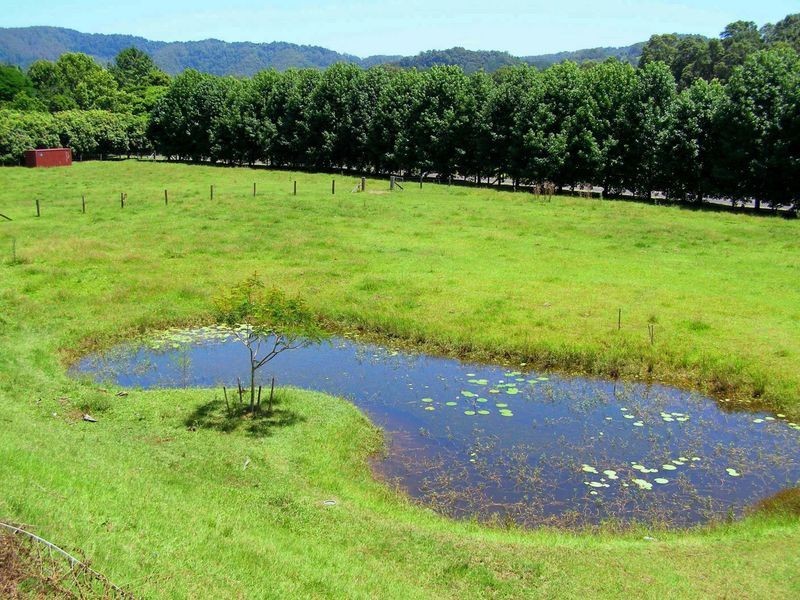 11 Campbells Road, Dungay NSW 2484