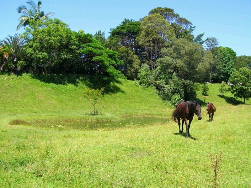 11 Campbells Road, Dungay NSW 2484