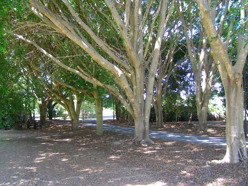 11 Campbells Road, Dungay NSW 2484