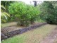1 Boscabel Avenue, Murwillumbah NSW 2484