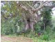 15-17 Tarcoola Lane, Uki NSW 2484