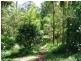 Byrrill Creek Road, Byrrill Creek NSW 2484