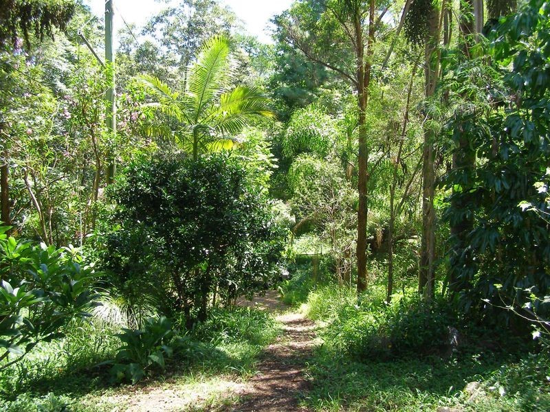 Byrrill Creek Road, Byrrill Creek NSW 2484