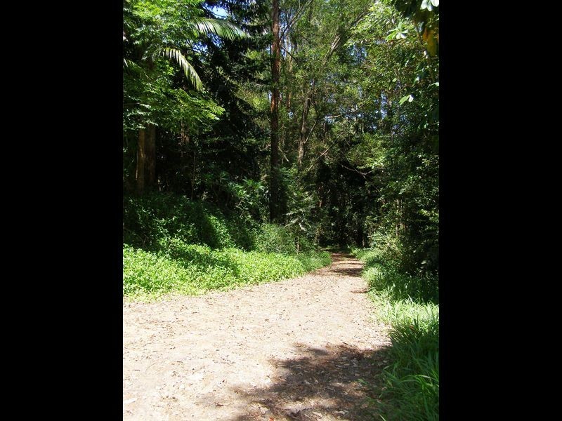 Byrrill Creek Road, Byrrill Creek NSW 2484