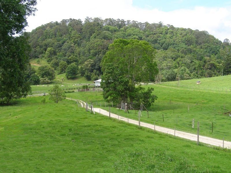 267 Chilcotts Road, Crystal Creek NSW 2484