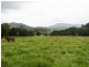 267 Chilcotts Road, Crystal Creek NSW 2484